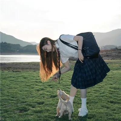 李佩西与五大王国的守护者